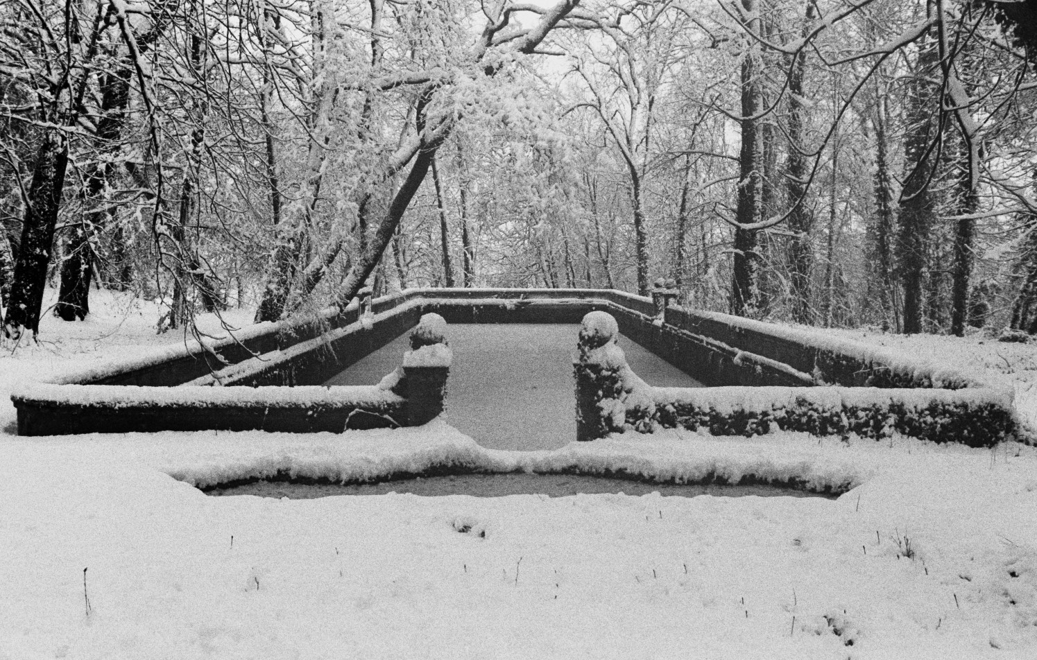 homepage image for Beaulieu album, depicting a pond under snow